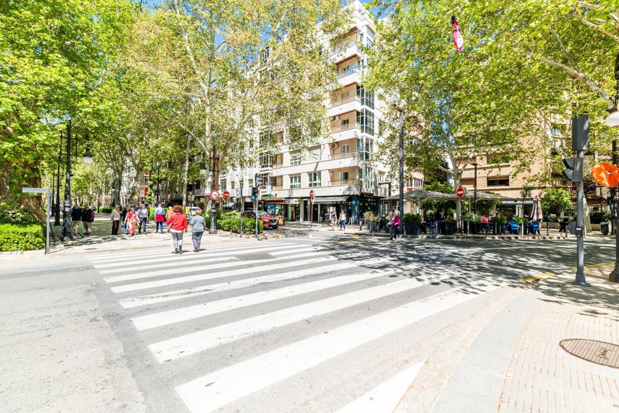 Encantador Piso Pleno Centro A Pie De Semana Santa Y Cerca De La Alhambra Granada Ngoại thất bức ảnh